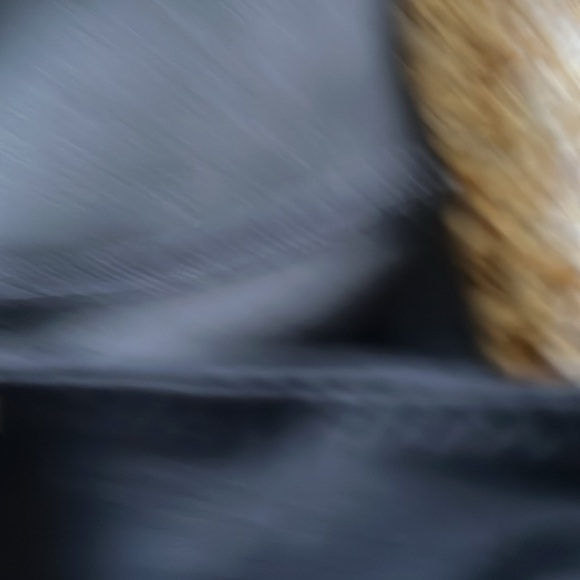 Set of Four VSX Crops - Picture 4 of 5